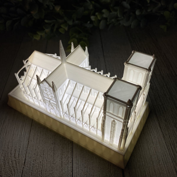 Notre Dame Cathedral Night Light
