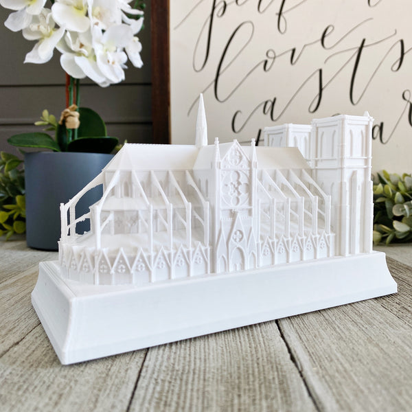 Notre Dame Cathedral Night Light