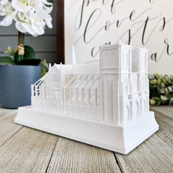 Notre Dame Cathedral Night Light