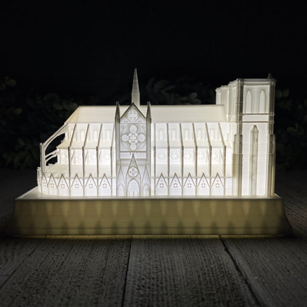 Notre Dame Cathedral Night Light