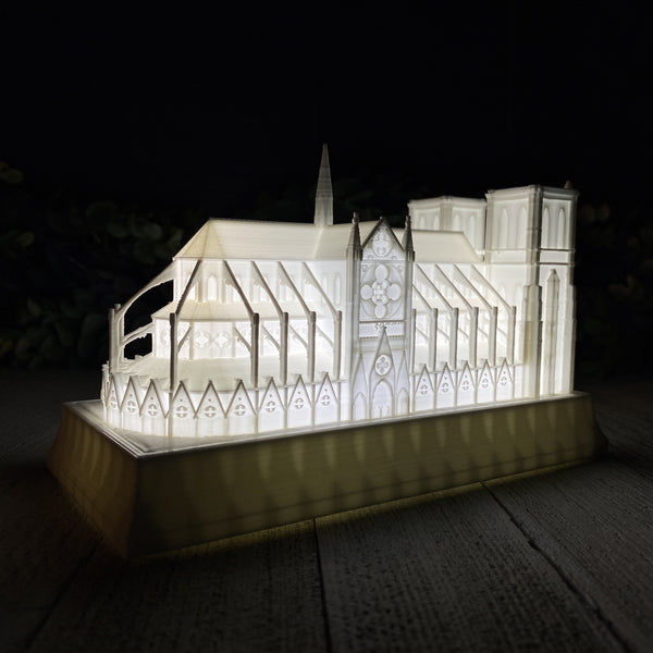 Notre Dame Cathedral Night Light