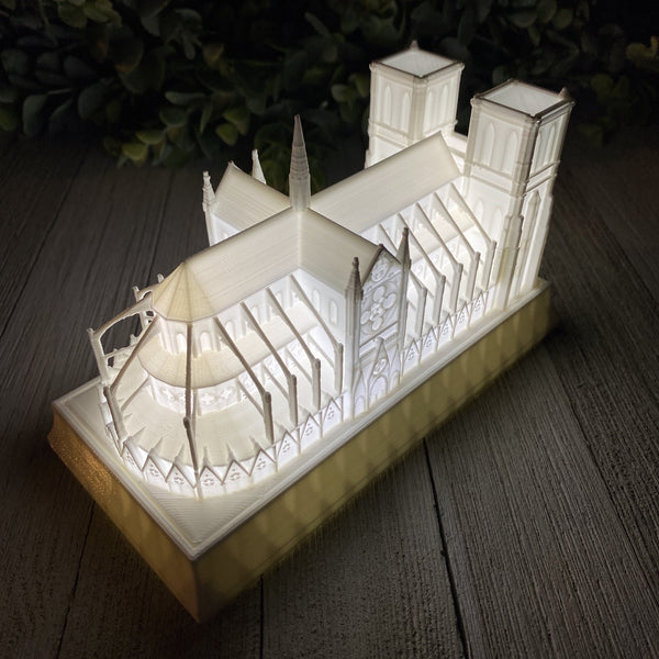 Notre Dame Cathedral Night Light