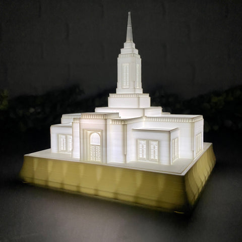 Elko Nevada Temple Night Light