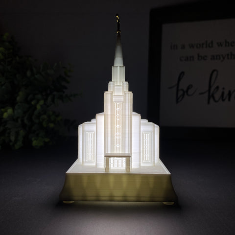 Vancouver British Columbia Temple Night Light