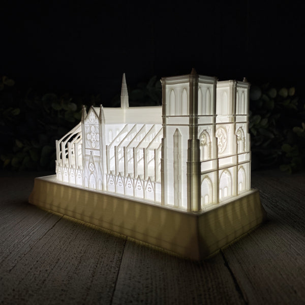 Notre Dame Cathedral Night Light