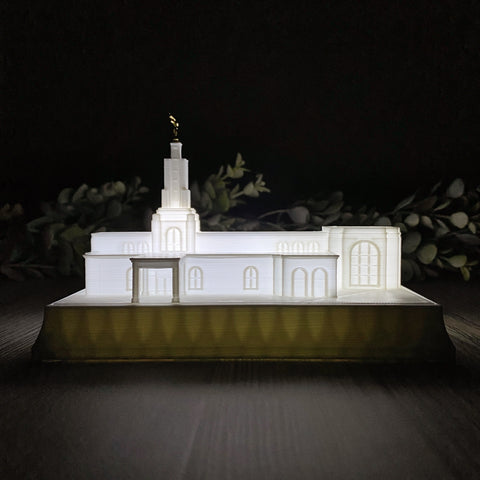 San Antonio Texas Temple Night Light